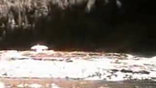 Celebrity Clearwater River Log Drive, 1930's Wealth