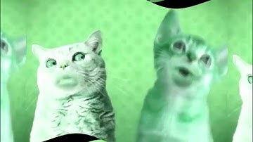 Preview 1280 Numa Cat Effects