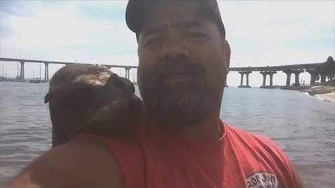 Friendly Seal Jumps on Fisherman's Back, Cuddles Up To Him and Won't Leave