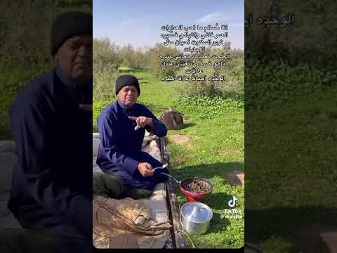 الزعاق انا مسالم ماحب العداوات