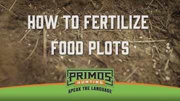 Easy Ways to Fertilize Food Plots