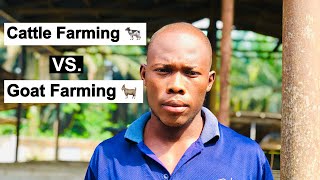 Cattle Farming VS Goat Farming, Which Is More Profitable?