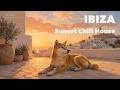 Shiba Inu in Ibiza — Balearic chill house for sunset work｜作業用BGM