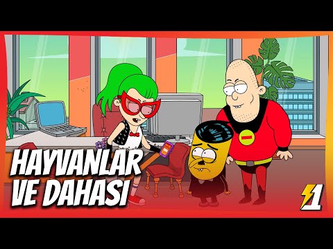 Hayvanlar ve Dahası