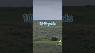300 WBY MAG over 1000 yards