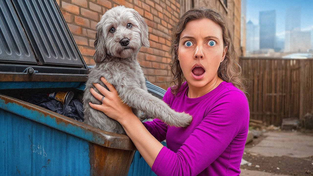 WE FOUND A LOST DOG IN A DUMPSTER... - YouTube