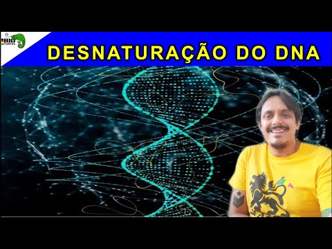 Vídeo: Durante a renaturação do dna quais ligações químicas são quebradas?