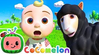 Baa Baa Black Sheep | CoComelon 🍉 | Nursery Rhymes