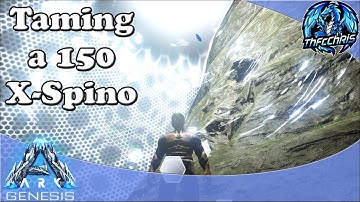 Taming a 150 X Spino ! Let