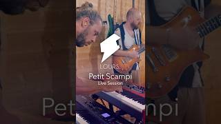 LOURS. with Petit Scampi on AmS Live Session