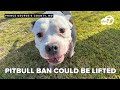 Community reacts to potential lift of Prince George's County pit bull ban