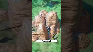 3 Metre Derinliğindeki Kayaların Arasına Düştü