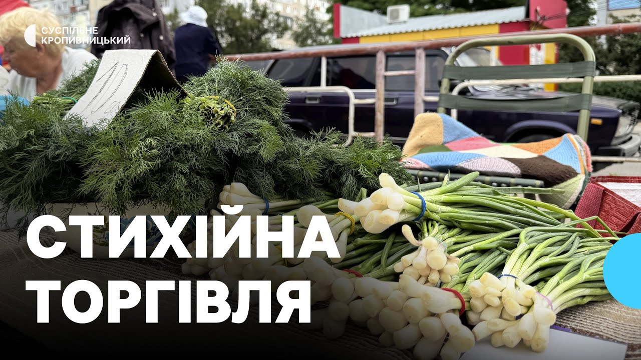 Продаж продуктів без дозволу: у Кропивницькому перевіряли місця стихійної торгівлі