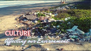 How Culture is Affecting Our Environment in 2023