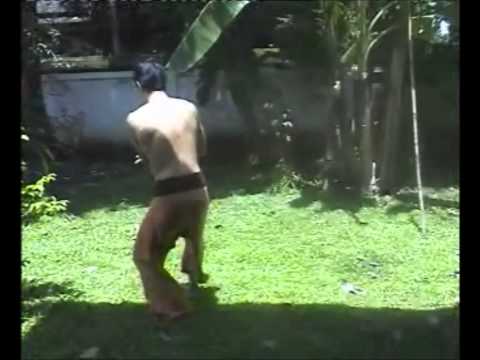ฟ้อนเจิง(ศรัณ สุวรรณโชติ ครูนิค)