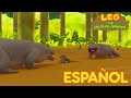 Leo, El Explorador Episodio #105 - Dragón de Komodo (Español)