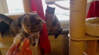 Now Its My Turn , So Give Me