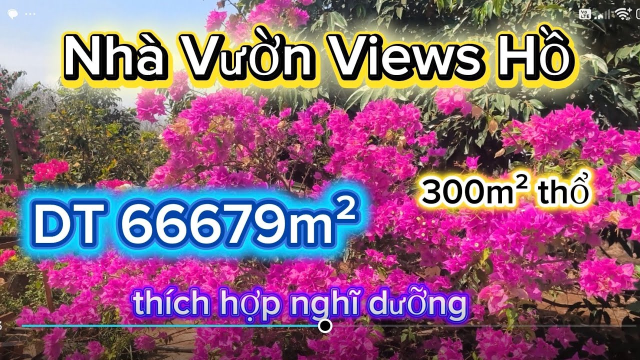 Mảnh nhà vườn views Hồ mát mẻ có sẵn nguồn thu DT 66679m² 300 thổ cư cách qlo14 1km khu dân cư.
