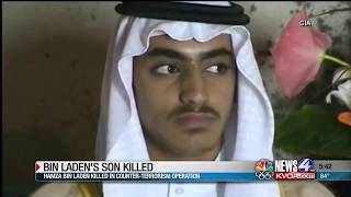 Osama bin Laden's son killed by US forces