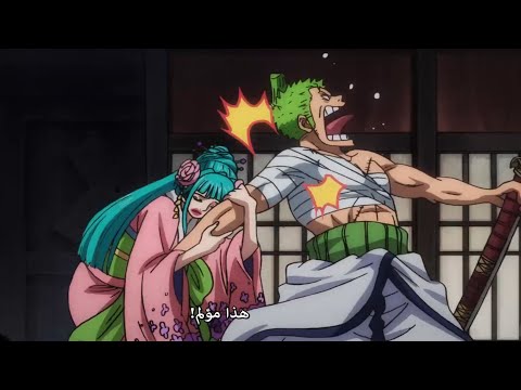 زورو وهيوري هيوري ترفض ان تترك زورو ون بيس مترجم 935