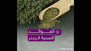 الفوائد الصحية للزعتر #trending #فوائد @user-je6fm3mt2p