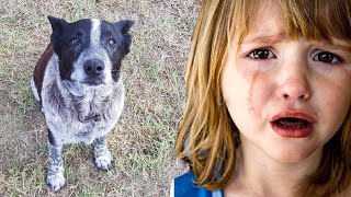 Partially-Blind Dog Protects Toddler For Over 15 Hours In The Wild, Proves Dogs Are Man's Best Pal