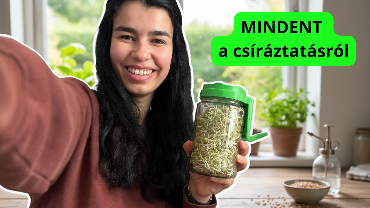 Csíráztatás házilag (olcsó & egyszerű)