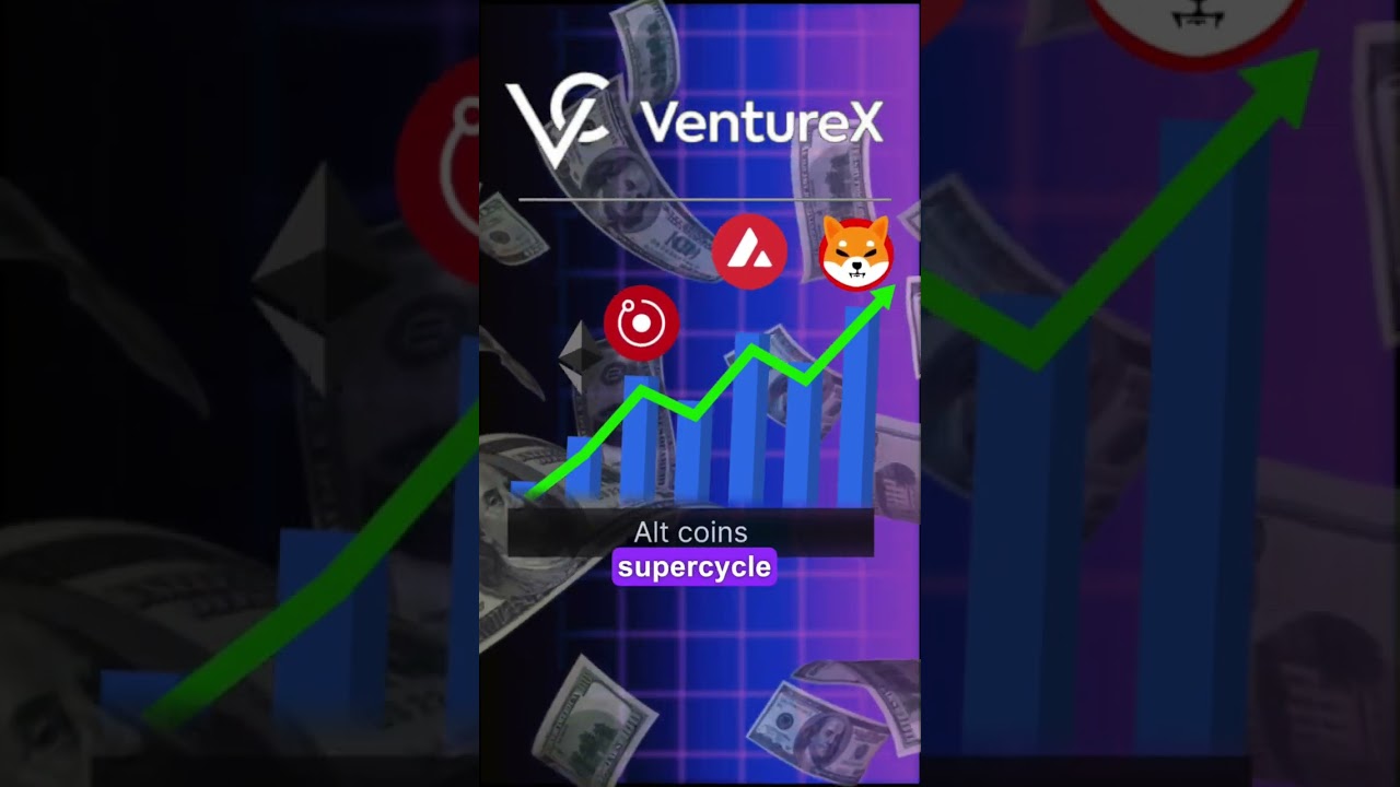 VentureX Rebalances Portfolio for Altcoin Supercycle! 