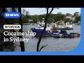 How a ship busted with 5 tonnes of cocaine ended up in Sydney | The World | ABC NEWS
