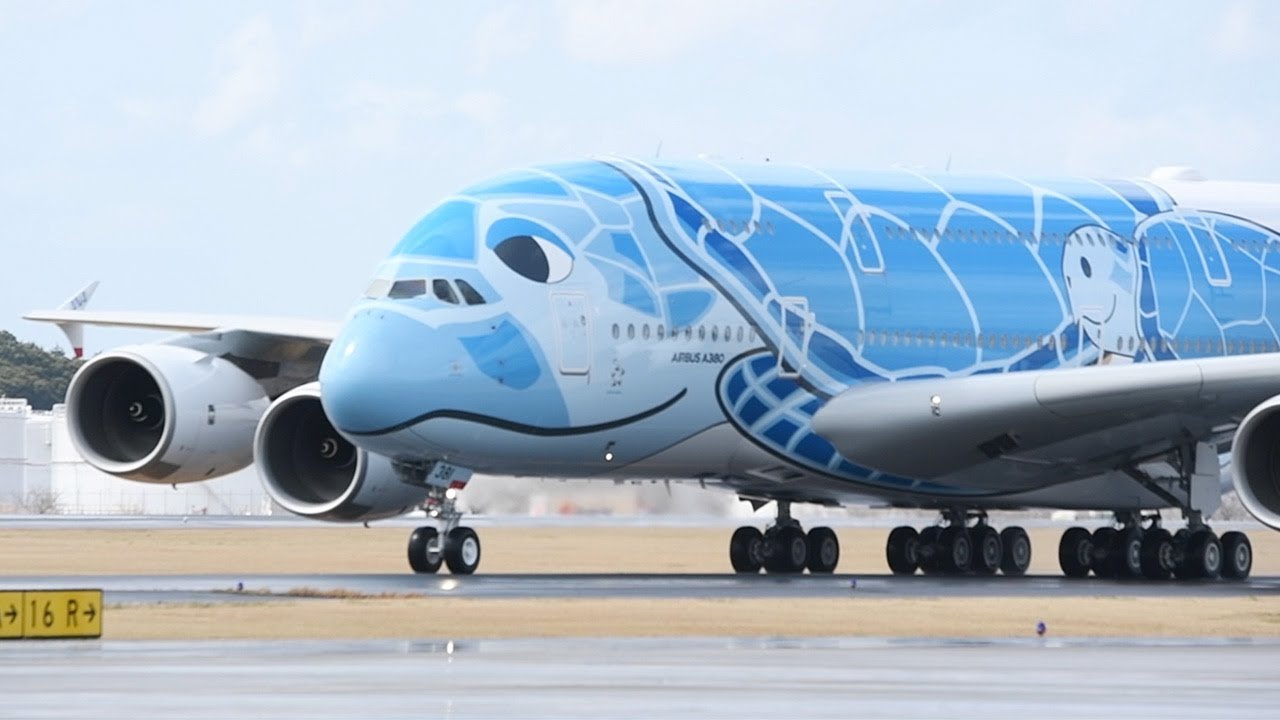 土管の飛行機 ANA debuts giant sea turtle jet for direct flights to Hawaii