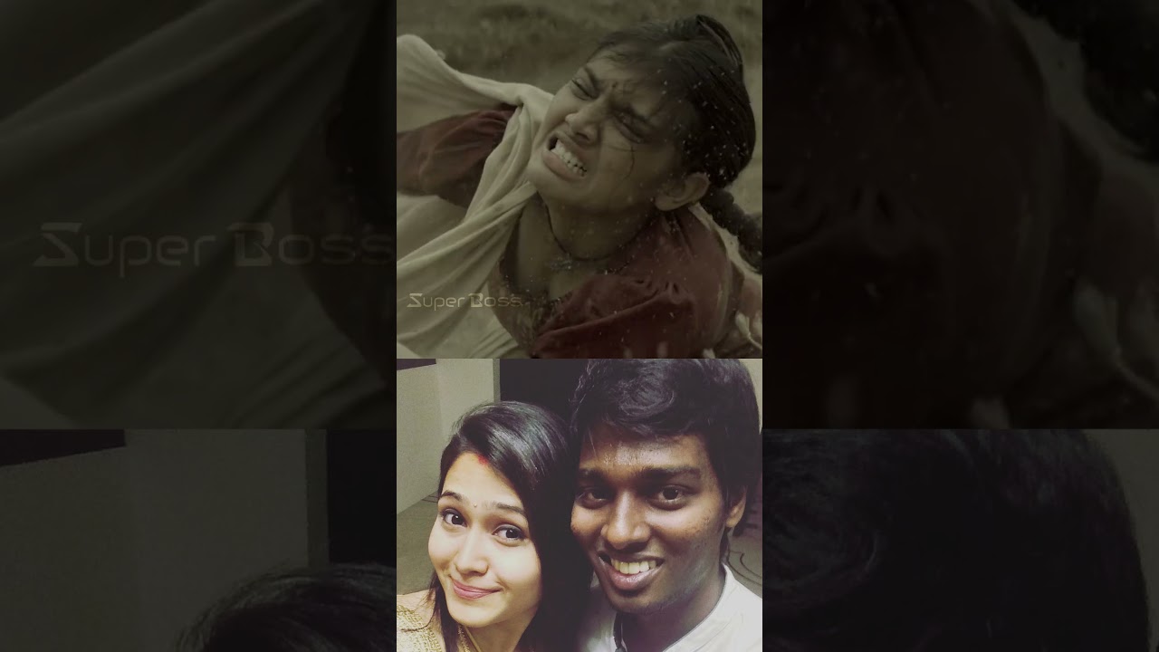 Jawan box office collection worldwide 