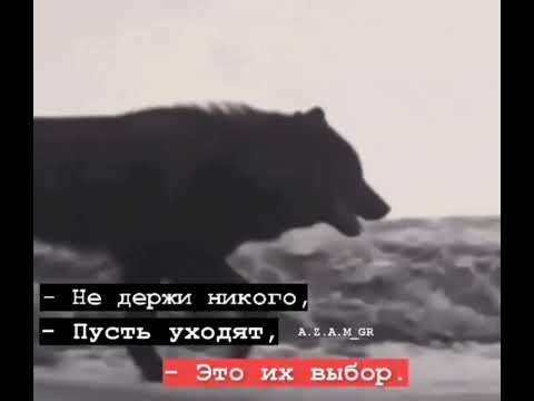 Не держи никого
