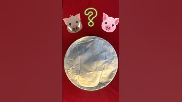 Pig game #pig #gameplay #shorts #asmr #interesting #video #shortvideo #funny #reels #game