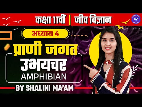 वीडियो: उभयचरों का हृदय तीन कक्षों वाला क्यों होता है?