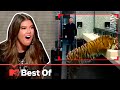 Ridiculousness Clips You Have To See To Believe 👀 Ridiculousness