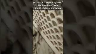 Subhanallah #shorts #diwan_786_#viral#viralvideo#ytshorts #dargah #karamat #youtubeshorts#deesa