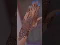 mehendi designs ✨👀#mehendiartist #mehendidesign #mehndi
