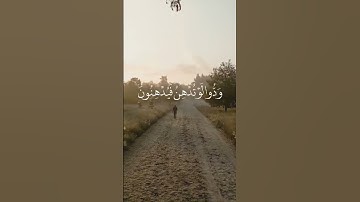 القارئ سالم الرويلي                   فلا تطع المكذبين