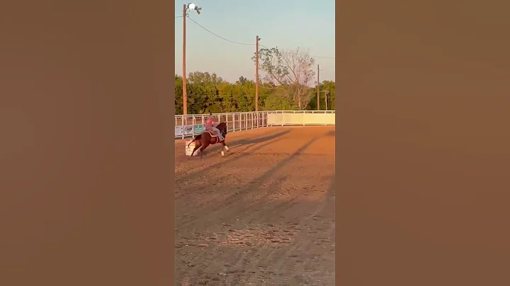 Pecos 1