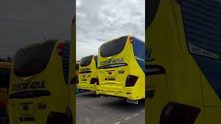 CARROCERÍA CEPEDA ¡Hey amigo! ¿esos son buses reales?! 😳#trend #Cepeda #ISO9001