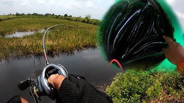 Cá ăn buổi trưa bể tay | Câu cá lóc vuông tôm Cà Mau | 4K