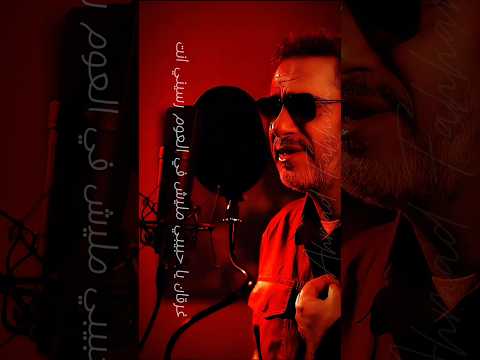 تايه من نفسي وضعت كتير ولقيتك انت فضل شاكر الحب وبس فضل شاكر