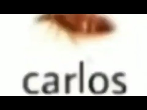 Fart