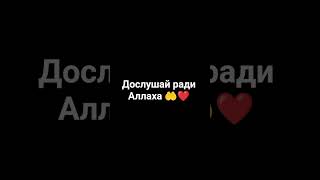 #аллах #образование #прарокмухаммад #хадис #дуа #рекомендация