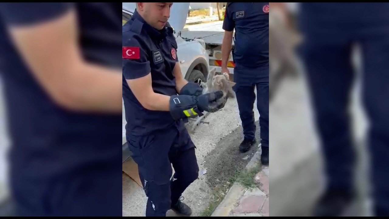 Otomobilin motor kısmına giren yavru kedi kurtarıldı