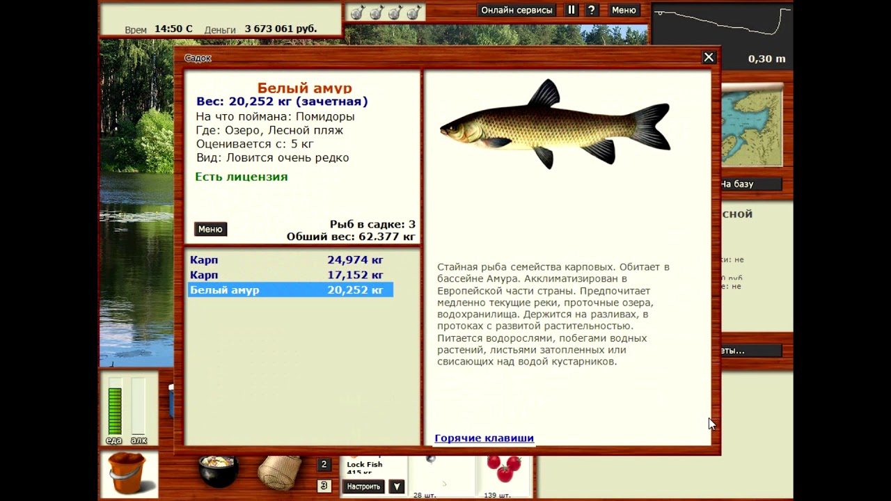 Игра русская рыбалка озеро