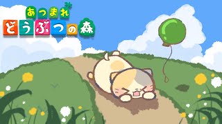 【朝活】案内所オープン🌴まぐろdeソルト島🌊【あつまれ！どうぶつの森/むぅたま VTuber】