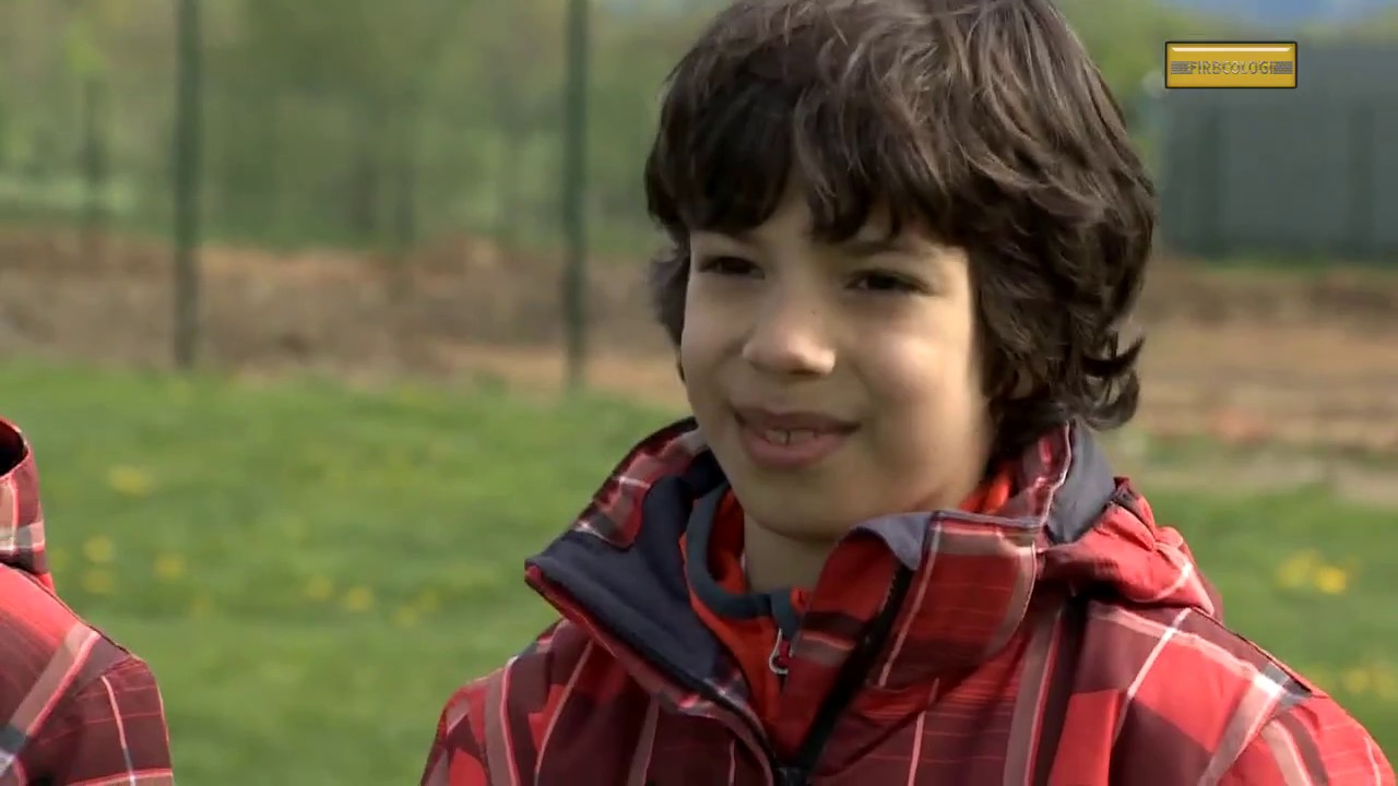 Firbcologi: policijski psi