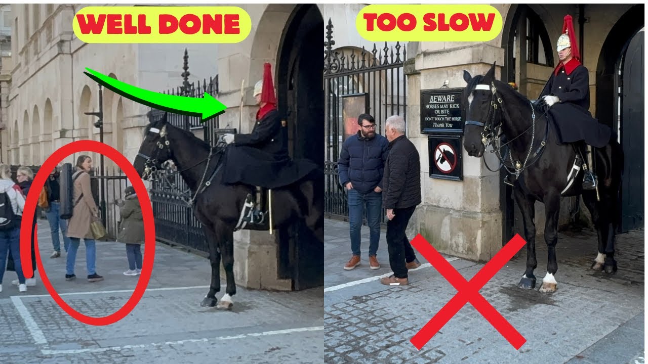 DISASTER! Tourists Break Protocol While King Watches 😱🤣