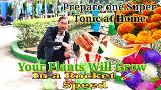 Just Apply 1 Solution.Your Plants will Grow in a 🚀 Rocket Speed.